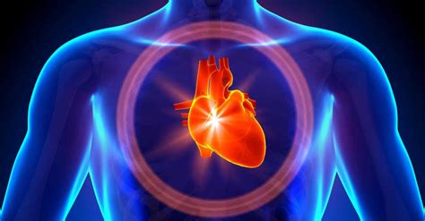 hipertansiyon ile kalp nasıl desteklenir